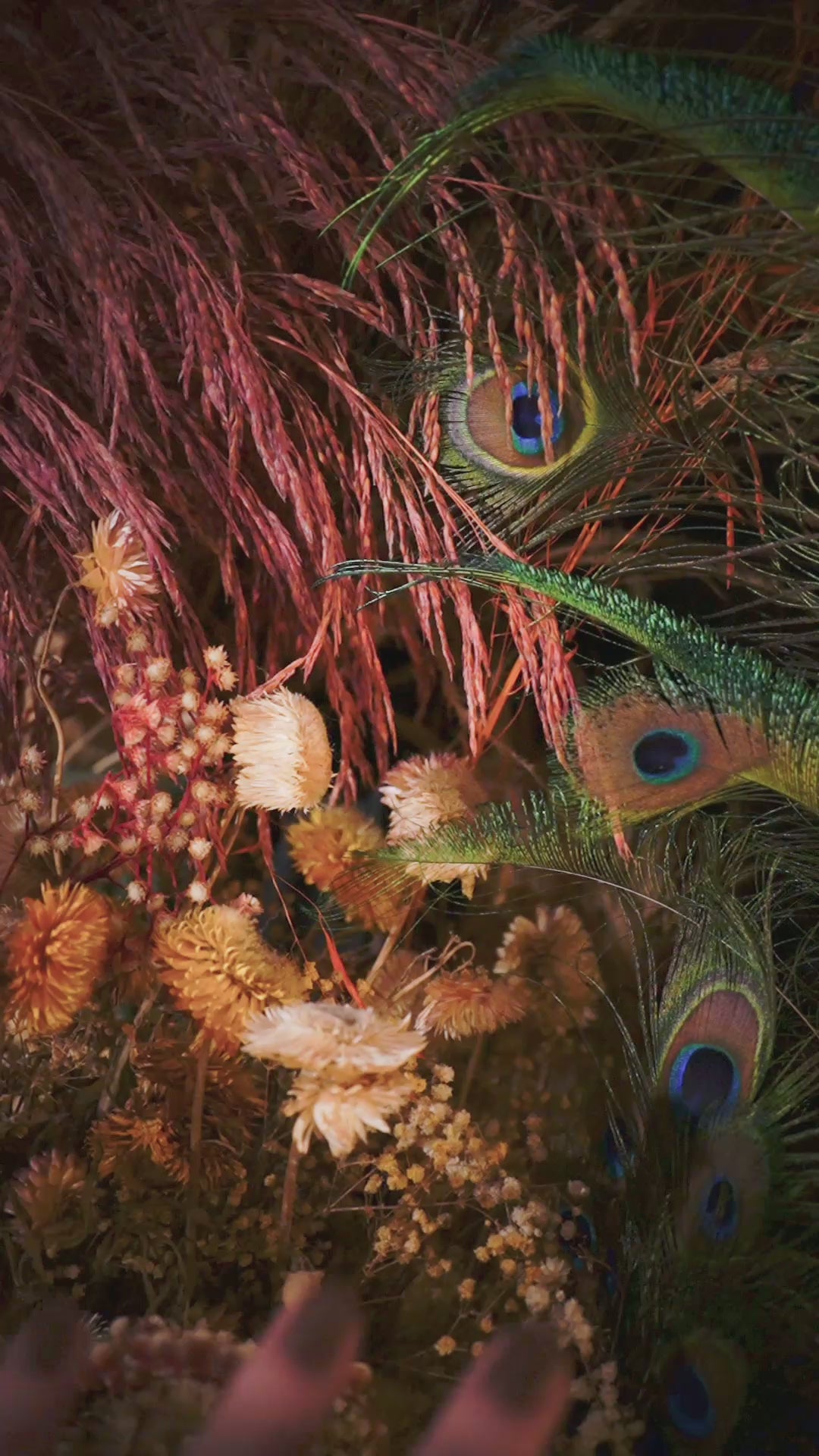 Anel Fluidez - Peroba Rosa
