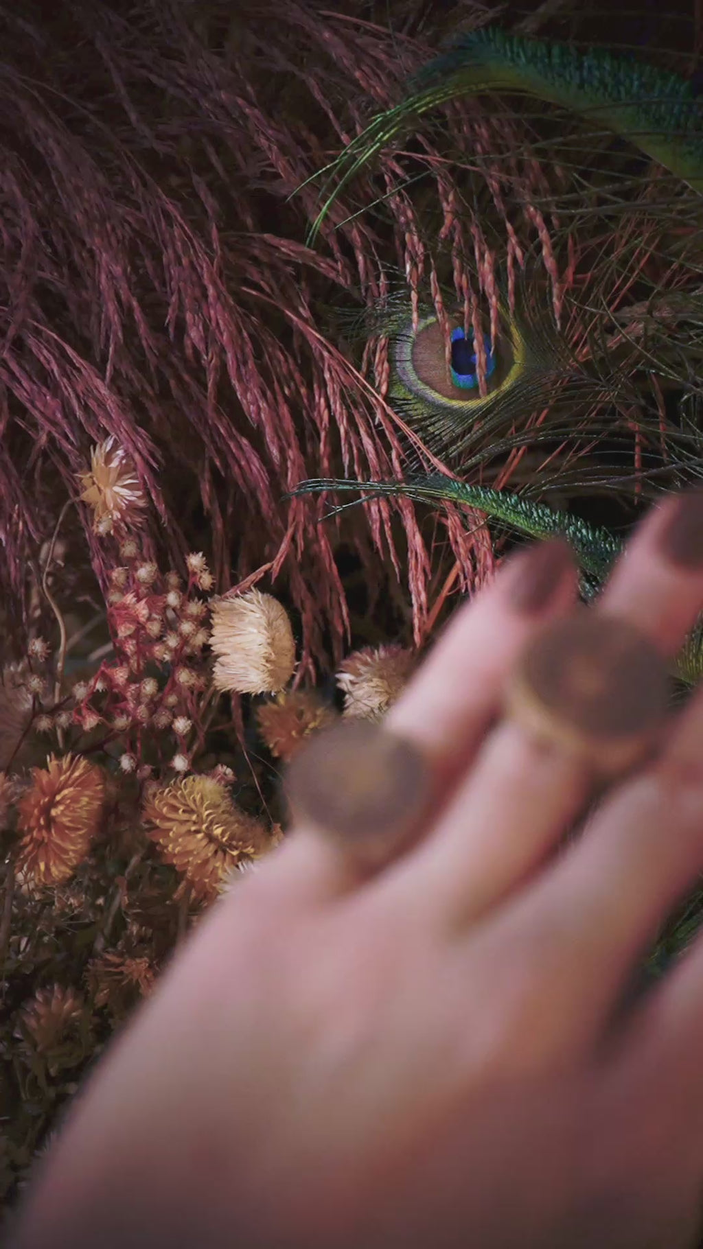 Anel Crescimento - Ipê Roxo do Campo