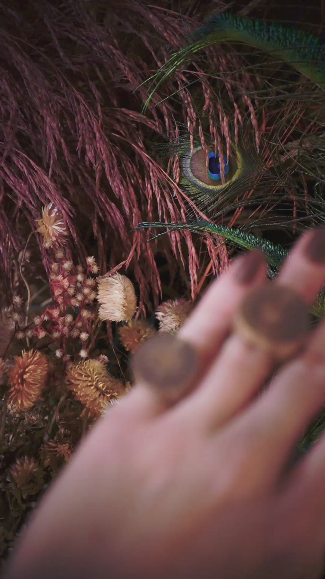 Anel Crescimento - Ipê Roxo do Campo